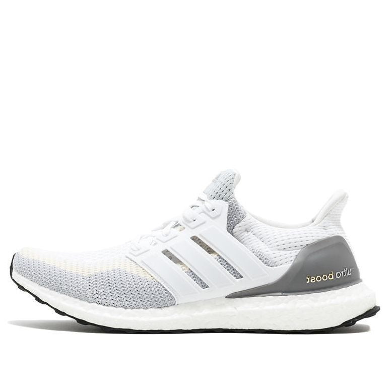 adidas UltraBoost 2.0 'White Grey' AQ4007
