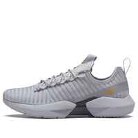Reebok Sole Fury Gray FW0566