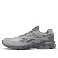 Reebok Ridgerider 5.0 Gray EF4202