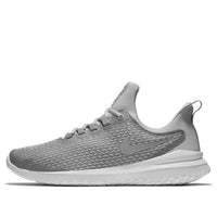 Nike Renew Rival 'Wolf Grey' AA7400-006