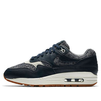 (WMNS) Nike Air Max 1 Premium 'Obsidian' 454746-403