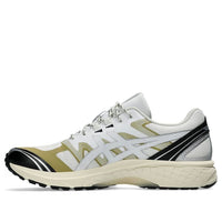 ASICS Gel-Terrain 'White Lake Grey' 1203A342-100