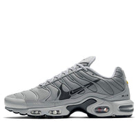 Nike Air Max Plus 'Grey 3M' CU3454-002