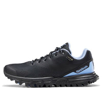 (WMNS) Reebok Sawcut 7.0 GTX 'Cornflower Blue' EF4099