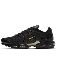 Nike Air Max Plus 'Black Metallic Gold' DC4118-001