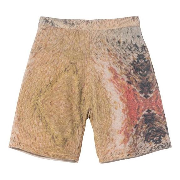 Stussy Wings Print Knit Short 'Multi' 112272