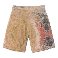 Stussy Wings Print Knit Short 'Multi' 112272