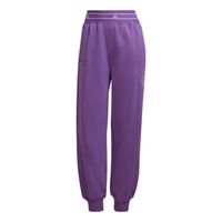 (WMNS) adidas by Stella McCartney Pants Asia Sizing 'Purple' HM3818