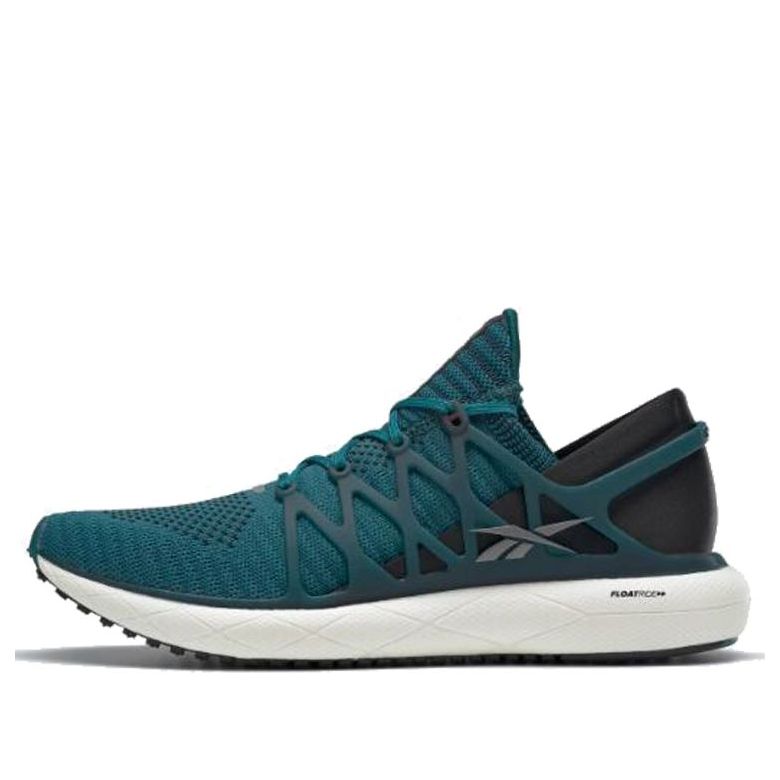 Reebok Floatride Run 2 EH0974