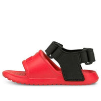 (TD) PUMA Divecat v2 Injex 'Poppy Red' 369545-08