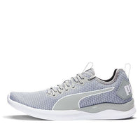 PUMA Ignite Flash Grey/Blue/White 192496-04