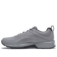Reebok Ridgerider 6 'Pure Grey' FW9650
