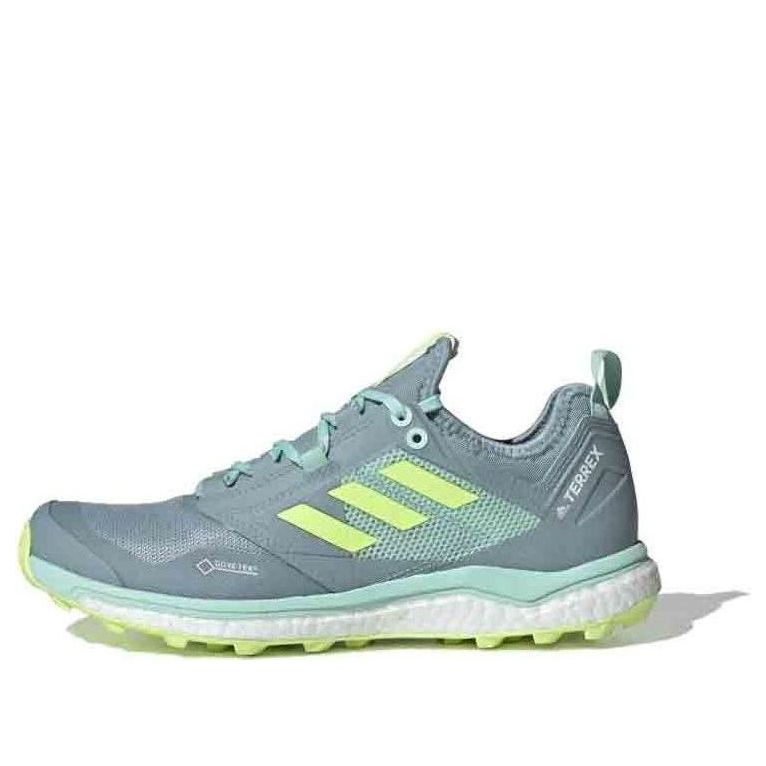 (WMNS) adidas Terrex Agravic XT GTX 'Clear Mint' BC0452