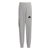(PS) adidas Essentials Sports Pants Asia Sizing 'Grey' IQ1003