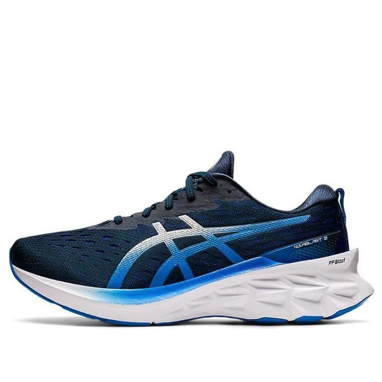 ASICS Novablast 2 'French Blue Pure Silver' 1011B192-401