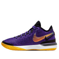 Nike Zoom LeBron NXXT Gen 'Lakers' DR8784-500