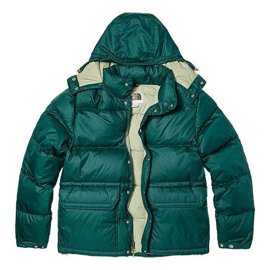 THE NORTH FACE Nuptse Jacket NF0A821N-D7V