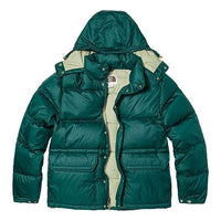 THE NORTH FACE Nuptse Jacket NF0A821N-D7V