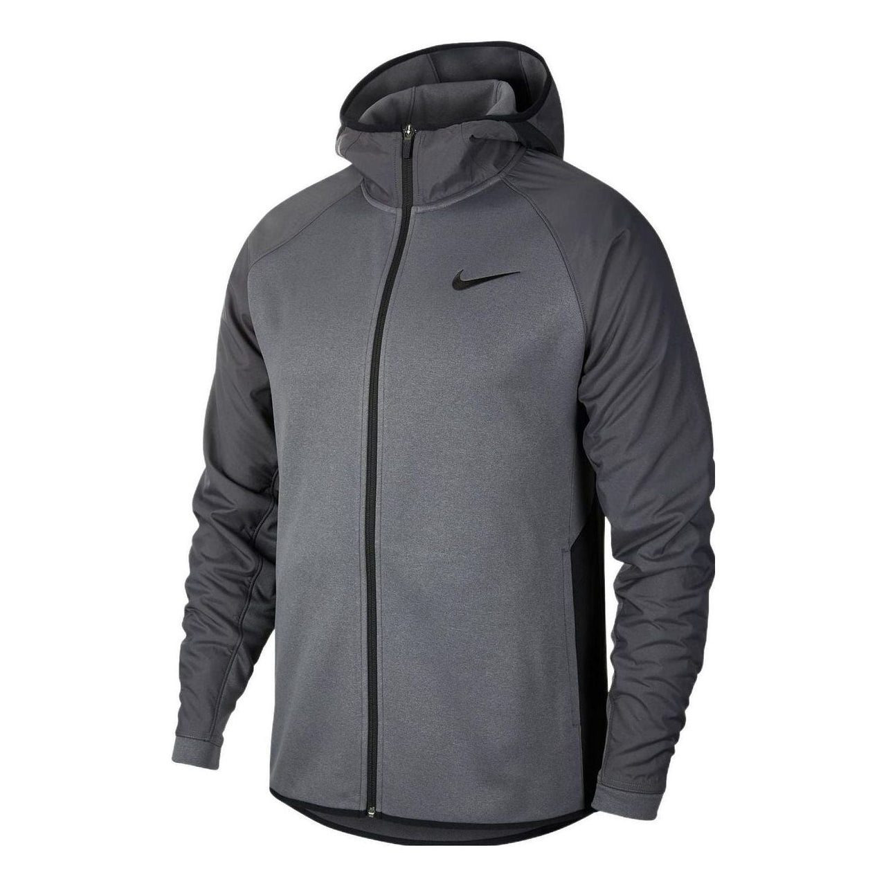 Nike Therma Logo AT3918-021