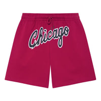 Mitchell & Ness x NBA Chicago Bulls Big Logo Shorts 'Red' MNJYSSS23106-RED