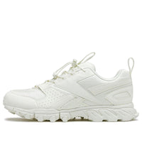 Reebok Dmx Pert White FV5062