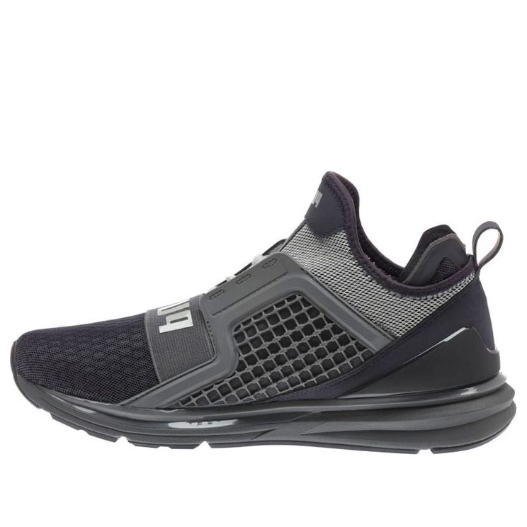 PUMA Ignite Limitless 'Grey' 189495-08