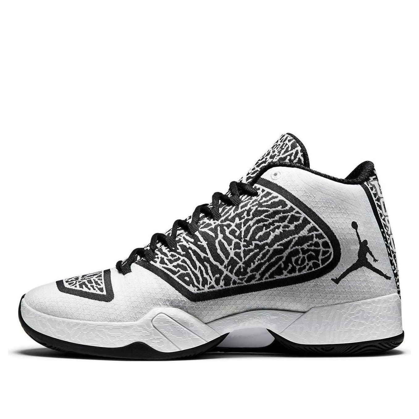 Air Jordan 29 'Cement' 695515-070