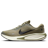 Nike Journey Run 'Silver Sage Black' FN0228-302