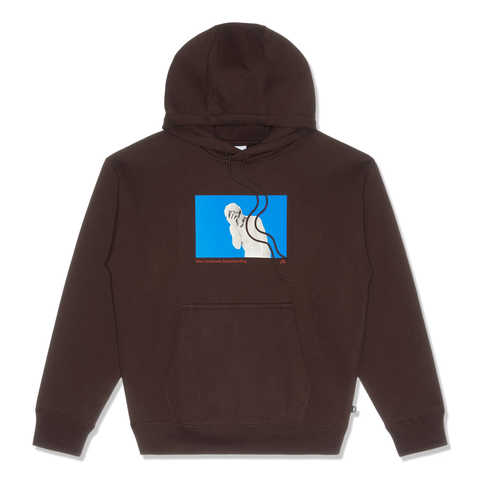 Nike SB Fleece Pullover Skate Hoodie 'Earth' FN2556-227