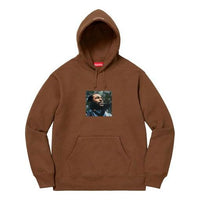Supreme FW18 Marvin Gaye Hooded Sweatshirt Brown SUP-FW18-1147