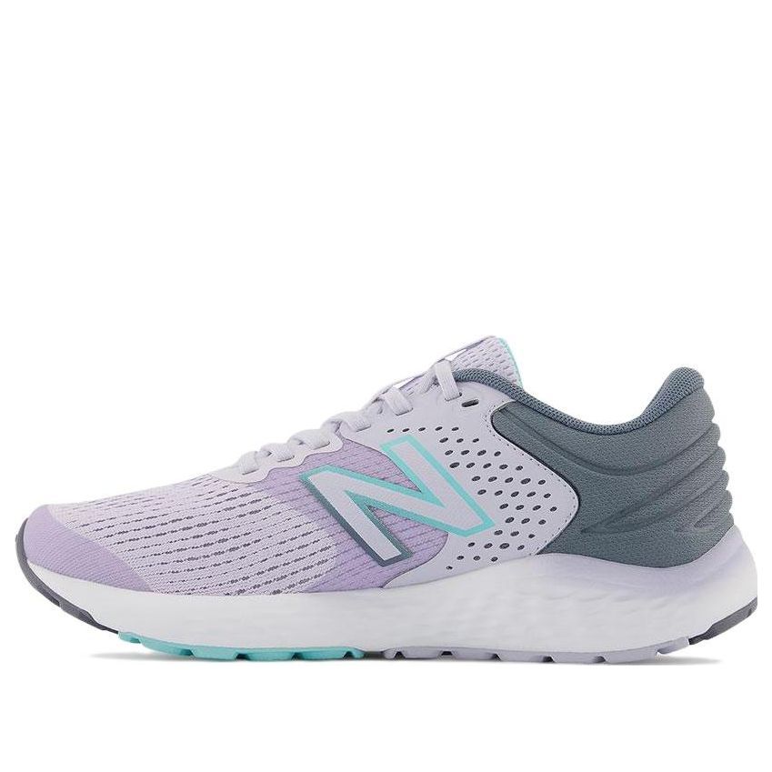 (WMNS) New Balance 520 v7 'Purple Gray White' W520RG7