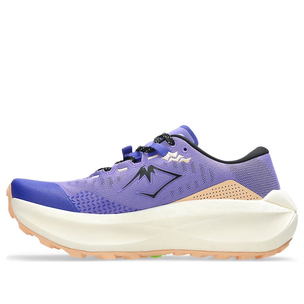 (WMNS) ASICS Trabuco Max 5 'Amethyst Black' 1012B937-500
