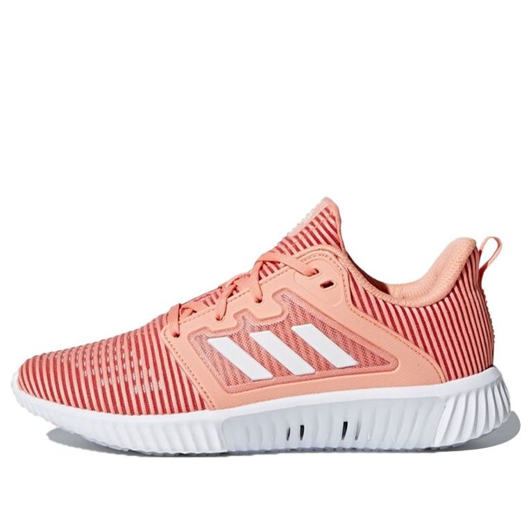 (WMNS) adidas Climacool Vent 'Pink' CG3922