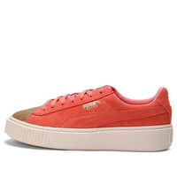 PUMA Suede Platform Glam Jr Pink/Gold 364921-05