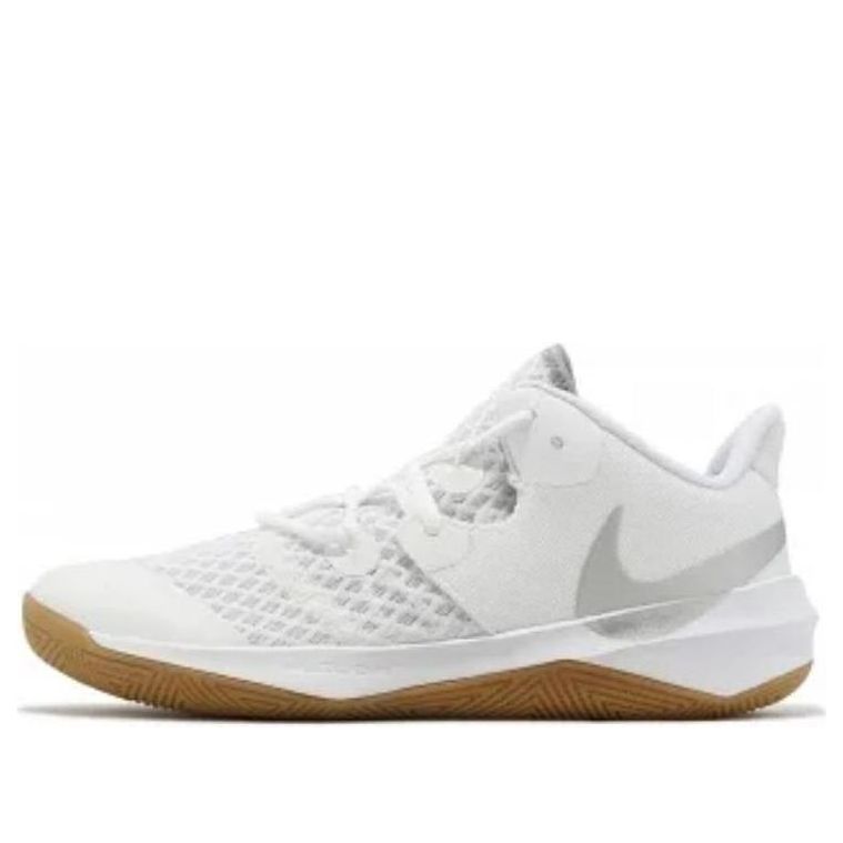 Nike Zoom Hyperspeed Court SE 'White Metallic Silver' DJ4476-100