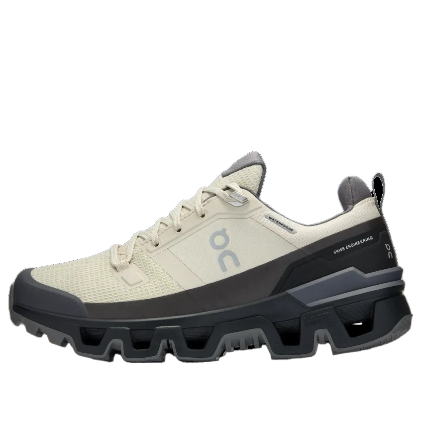 (WMNS) On Running Cloudwander Waterproof 'Sand Black' 73.97667