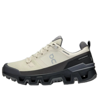 (WMNS) On Running Cloudwander Waterproof 'Sand Black' 73.97667