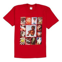 Supreme SS19 Original Sin Tee Red SUP-SS19-291