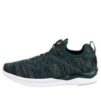 PUMA Ignite Flash Evoknit 'Green Black' 190508-17