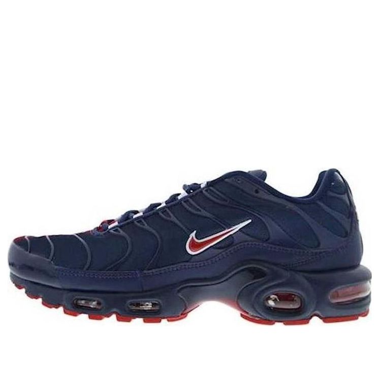 Nike Air Max Plus 'Navy Red' AO9565-400
