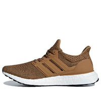 adidas UltraBoost 4.0 'Raw Desert' CM8118