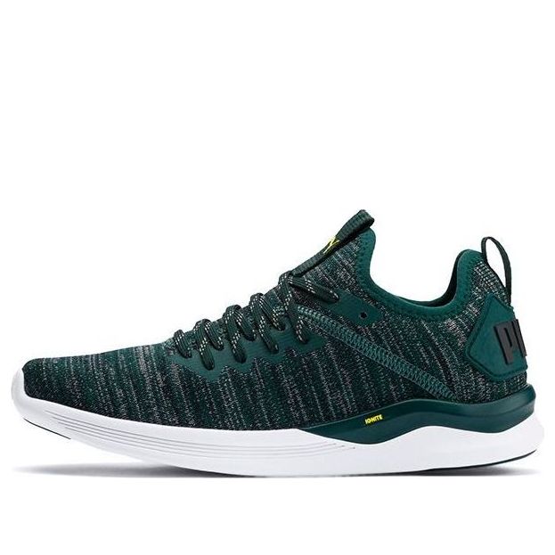 (PS) PUMA Ignite Flash Evoknit K Running Shoes Green/White 191502-10