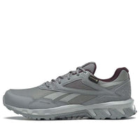 (WMNS) Reebok Ridgerider Gtx 5.0 'Grey' FU8522
