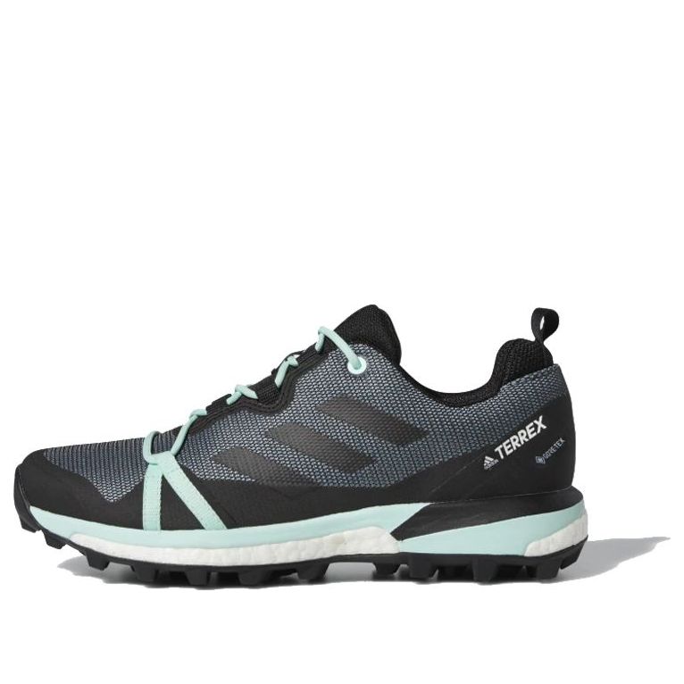 (WMNS) adidas Terrex Skychaser LT GTX 'Ash Grey Mint' F36120