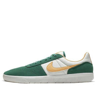 Nike Team Classic SB 'Bicoastal Celestial Gold' AH3360-302