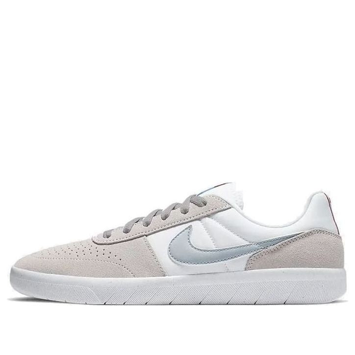 Nike Team Classic SB 'Vast Grey' AH3360-009