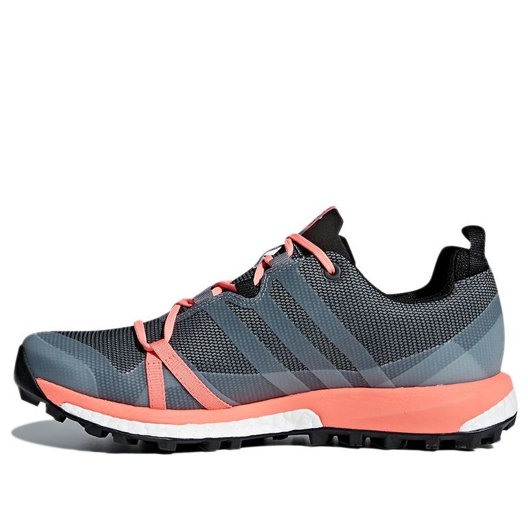 (WMNS) adidas Terrex Agravic Gtx 'Grey Pink' CM7649