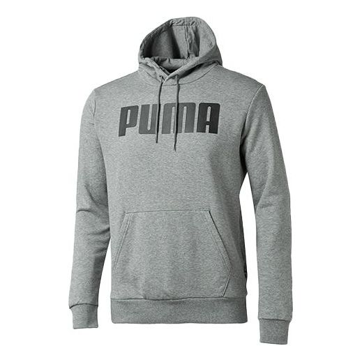 PUMA Colorblock Logo Gray 855201-02