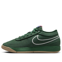 Nike Book 1 EP 'Flagstaff' FJ4250-300
