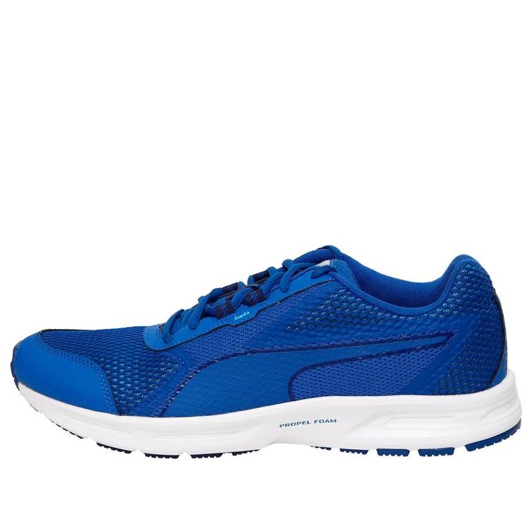 PUMA Essential Runner Blue Low Tops 189961-02